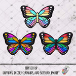 Load image into Gallery viewer, Rainbow Butterfly Design Bundle