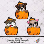 Load image into Gallery viewer, Dogs in Pumpkins Sublimation Design Bundle 2
