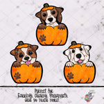 Load image into Gallery viewer, Dogs in Pumpkins Sublimation Design Bundle 3
