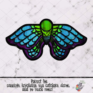 Stained Glass Moth Design